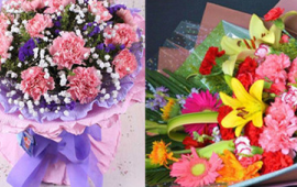 康乃馨送母亲的花语(康乃馨送妈妈什么颜色)