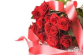 33朵红玫瑰花的花语（33朵红玫瑰寓意和象征意义）