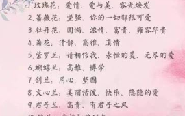 1~100送花花的意义(送花的含义一到99朵代表什么)