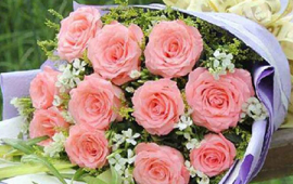 闺蜜之间适合送什么花(送朋友什么花代表友谊长久)