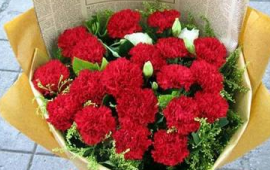 1～19朵康乃馨不同寓意（康乃馨哪个颜色最贵）