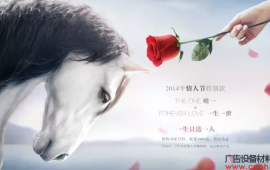 一生只能送一人的玫瑰花