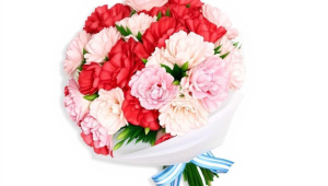 母亲节送康乃馨多少朵花(母亲节送多少支康乃馨最合适)