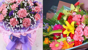 康乃馨送母亲的花语(康乃馨送妈妈什么颜色)