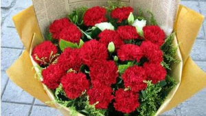 1~19朵康乃馨不同寓意(康乃馨哪个颜色最贵)