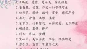1~100送花花的意义(送花的含义一到99朵代表什么)