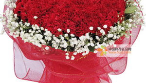 长辈生日送什么花合适女性58岁(朋友生日送什么花合适)