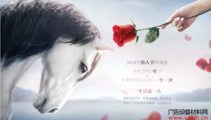 一生只能送一人的玫瑰花（一生只送一人的roseonly）