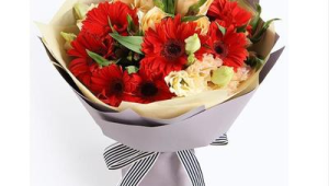 重阳节送什么花给老人(重阳节送什么花给爷爷奶奶)