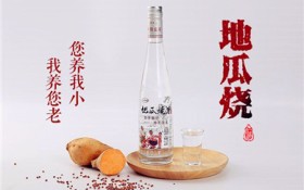 地瓜烧酒为什么不受欢迎（地瓜烧酒的受欢迎度为何较低）