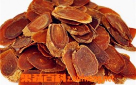 高丽参是什么（高丽参的定义和用途）