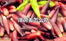 洋荷姜怎么吃