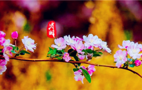 2024年清明节是阴历二月初三吗图1