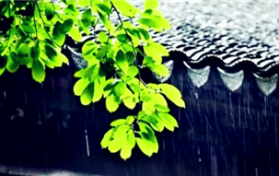 2024年武汉什么时候进到梅雨季图2