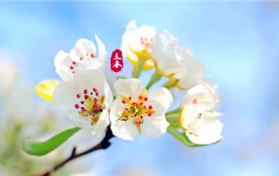 2024年躲春的正确方法和技巧图3