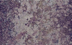 请病假多久单位可以解除劳动合同（员工病假多久可以开除）图3