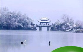 西湖的面积大约有多少（西湖的面积大约多少平方千米）图1