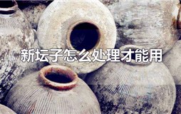 新坛子怎么处理才能用