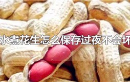 水煮花生怎么保存过夜不会坏