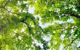 2024年夏季北京会热吗图3