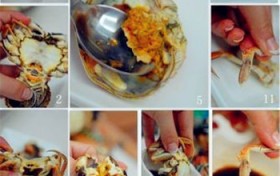 教你如何正确吃螃蟹？怎么正确的吃螃蟹？