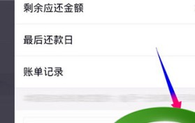 花呗还款的支付宝操作流程（每月10日可以还）？花呗怎么在手机主动还款-花呗如何申请分期还款？图2
