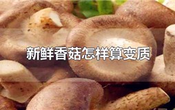 新鲜香菇怎样算变质