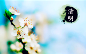 2024清明时节收费站免费吗图1