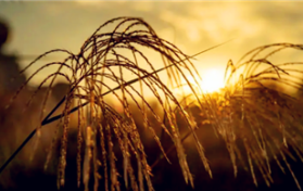 2024年3月份是否存在强冷空气图1