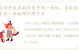 在线升级导航仪电子狗一体机，导航仪电子狗一体机哪个牌子好