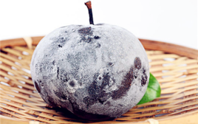 冻梨和一般的梨有什么不同图3