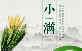 小满以后的节气是啥（小满以后的节气有什么？）