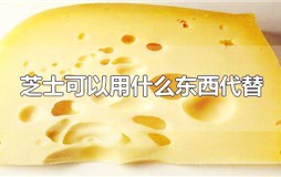 芝士可以用什么东西代替