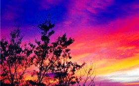 办健康证需要多久（办健康证要多久）图3