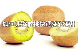 怎样让猕猴桃变软变甜？快速让猕猴桃变软的方法