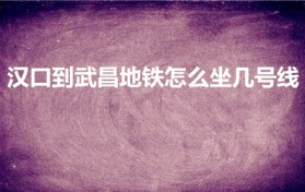 汉口到武昌地铁怎么坐几号线（汉口到武昌站坐地铁需要多久）