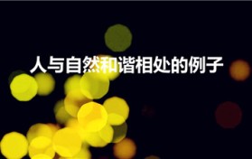 人与自然和谐相处的例子（人与自然和谐共生的例子是什么）