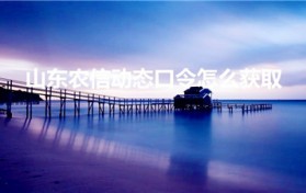 山东农信动态口令怎么获取（手机银行动态口令怎么获取）