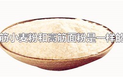 高筋面粉和高筋小麦粉是不是一样的？高筋面粉和高筋小麦粉的区别