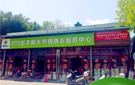 2022年致富项目（2022年致富项目小本买卖）图1