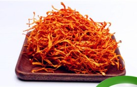 虫草花是啥东西长出的（虫草花的生长流程和药用价值）