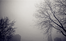 成都2月过后还有雾霾吗2024图2