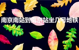 南京南站到南京站坐几号地铁（南京南到南京站有多远怎样走）