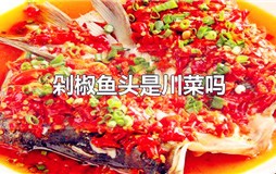 剁椒鱼头是不是川菜？剁椒鱼头是哪里菜