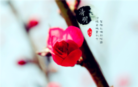 2024清明时节补哪一天课程图1