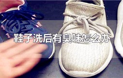 鞋子洗后有臭味怎么办