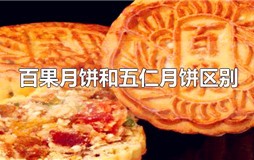百果月饼和五仁月饼有啥区别