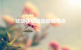 玻璃体切除后眼睛寿命（玻璃体切除,对视力有影响的）