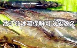 活虾放冰箱冷藏能保存多久？活虾放冰箱保鲜可以放多久