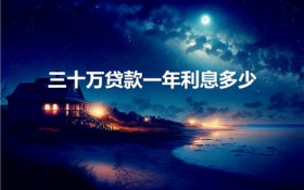 三十万贷款一年利息多少（银行贷款30万一年多少利息）